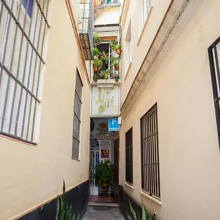 Pension San Pancracio-2